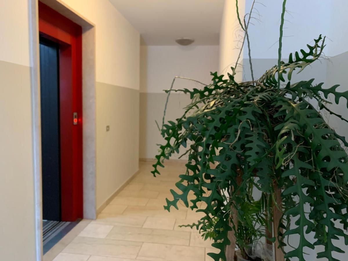 B&B Verona Business And Fun G B Rossi Friendly Dış mekan fotoğraf